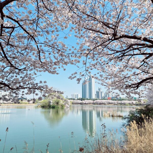 260408 Weverse: Sunoo