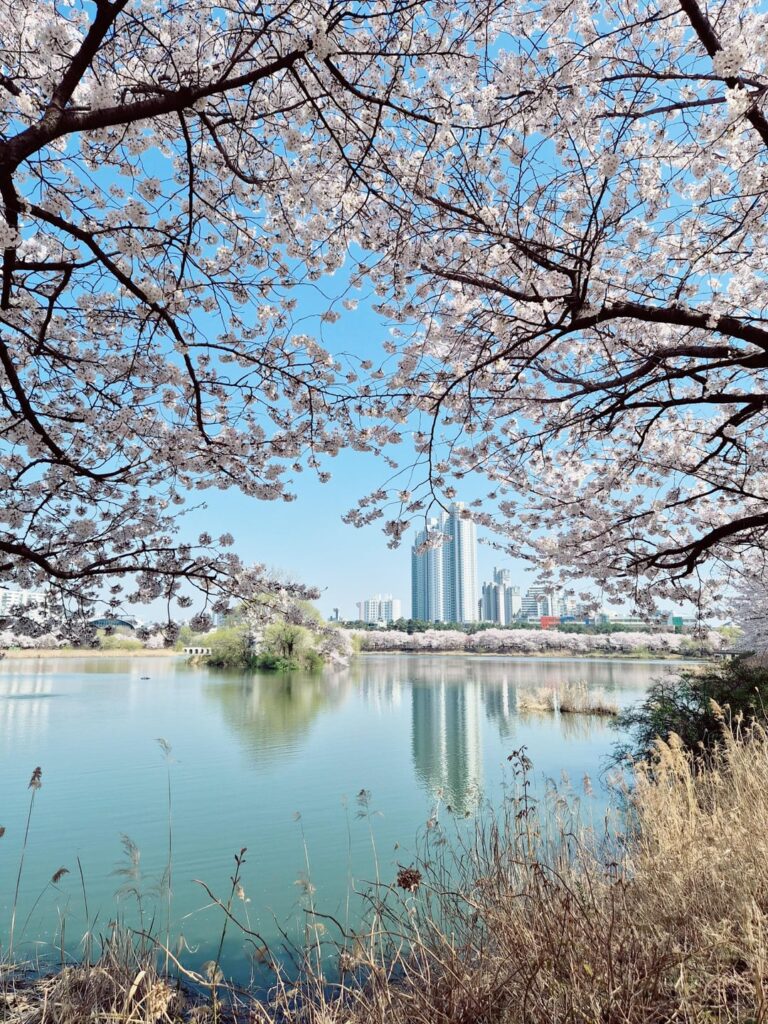 260408 Weverse: Sunoo